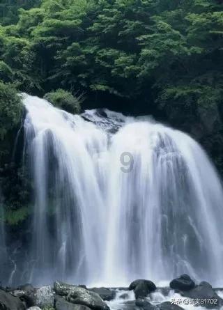 动物帮帮忙保卫家园